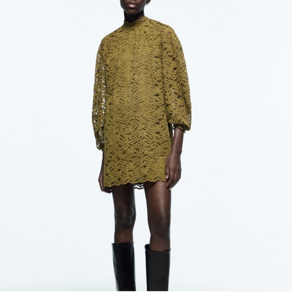 Zara lace suede velvet dress